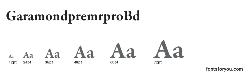 GaramondpremrproBd Font Sizes