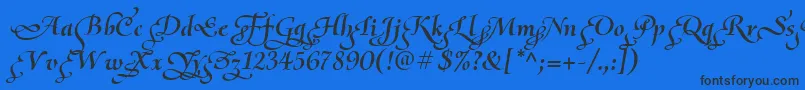 OliettaScriptPoesiaBolditalic Font – Black Fonts on Blue Background