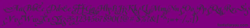 OliettaScriptPoesiaBolditalic Font – Black Fonts on Purple Background