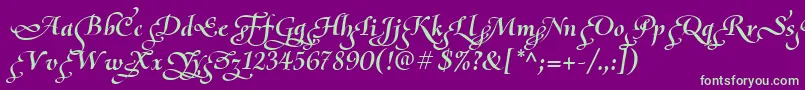 OliettaScriptPoesiaBolditalic Font – Green Fonts on Purple Background