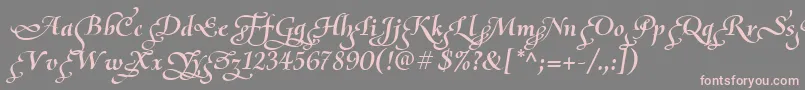 OliettaScriptPoesiaBolditalic Font – Pink Fonts on Gray Background