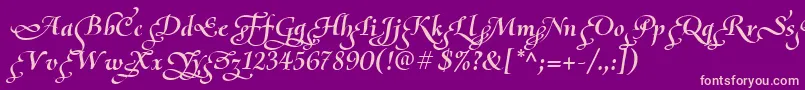OliettaScriptPoesiaBolditalic Font – Pink Fonts on Purple Background