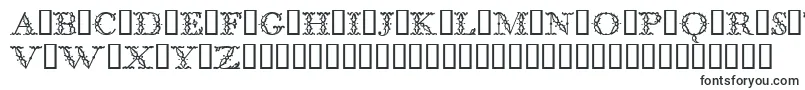 Шрифт BodoniclassicFloralinitials – большие шрифты