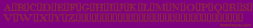 BodoniclassicFloralinitials-Schriftart – Braune Schriften auf violettem Hintergrund