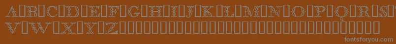 BodoniclassicFloralinitials-fontti – harmaat kirjasimet ruskealla taustalla