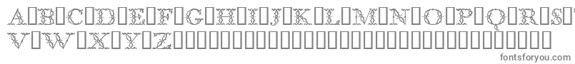 BodoniclassicFloralinitials-Schriftart – Graue Schriften auf weißem Hintergrund