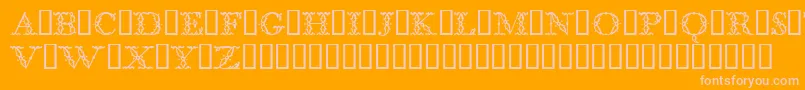 BodoniclassicFloralinitials-Schriftart – Rosa Schriften auf orangefarbenem Hintergrund