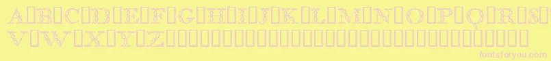 BodoniclassicFloralinitials Font – Pink Fonts on Yellow Background