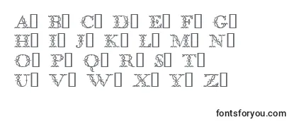 Обзор шрифта BodoniclassicFloralinitials
