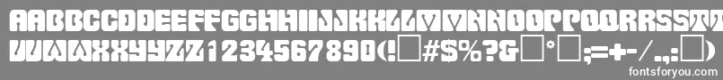 PinocchioRegular Font – White Fonts on Gray Background