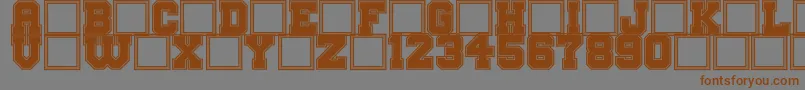 BigCampusBold Font – Brown Fonts on Gray Background