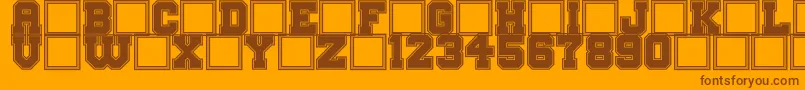 BigCampusBold Font – Brown Fonts on Orange Background