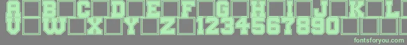 BigCampusBold Font – Green Fonts on Gray Background