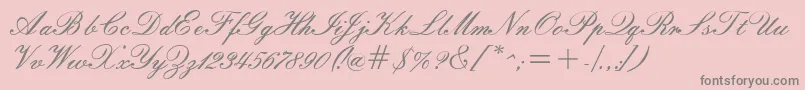 Windemerescriptssk-Schriftart – Graue Schriften auf rosa Hintergrund