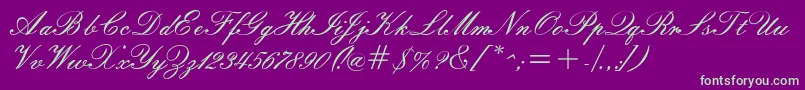 Windemerescriptssk Font – Green Fonts on Purple Background