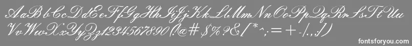 Windemerescriptssk Font – White Fonts on Gray Background