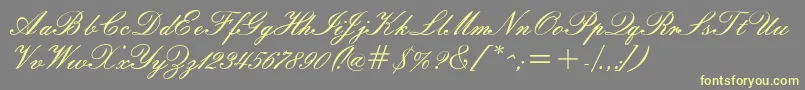 Windemerescriptssk Font – Yellow Fonts on Gray Background