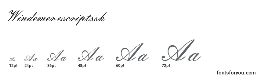 Windemerescriptssk Font Sizes
