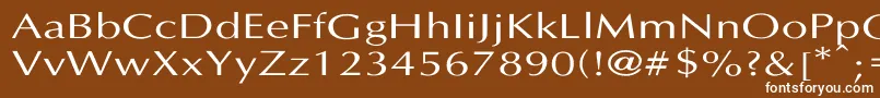 Lastunif Font – White Fonts on Brown Background