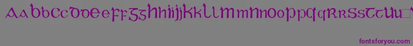 CelticGaeligeRegular-Schriftart – Violette Schriften auf grauem Hintergrund