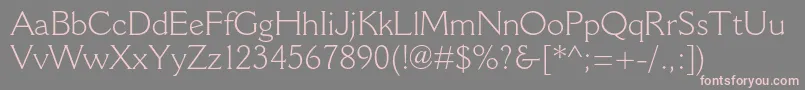 CantoriamtstdLight Font – Pink Fonts on Gray Background