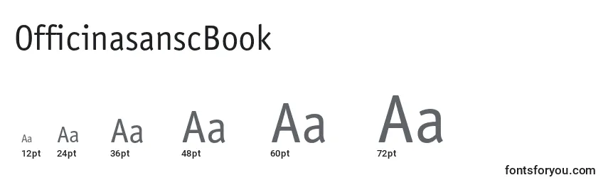 Размеры шрифта OfficinasanscBook
