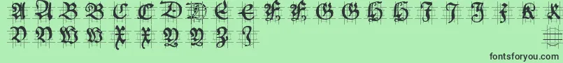 Hansschoenscapsingrid Font – Black Fonts on Green Background
