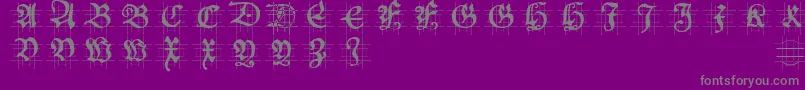 Hansschoenscapsingrid Font – Gray Fonts on Purple Background