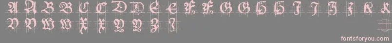 Hansschoenscapsingrid Font – Pink Fonts on Gray Background