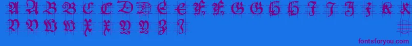 Hansschoenscapsingrid Font – Purple Fonts on Blue Background