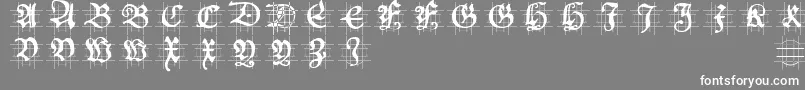 Hansschoenscapsingrid Font – White Fonts on Gray Background
