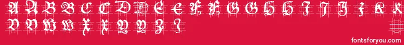 Hansschoenscapsingrid Font – White Fonts on Red Background