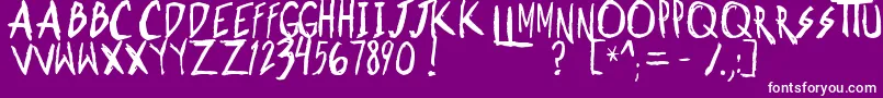 ShonenpunkCustomBold Font – White Fonts on Purple Background