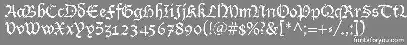 フォントLutherRegular – 灰色の背景に白い文字