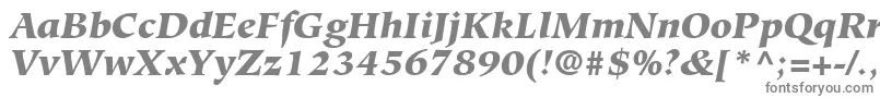 GlossaryBlackSsiBlackItalic Font – Gray Fonts on White Background