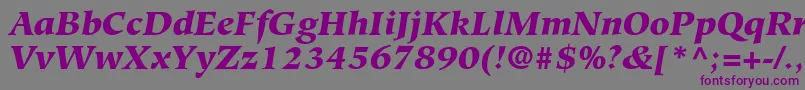 フォントGlossaryBlackSsiBlackItalic – 紫色のフォント、灰色の背景