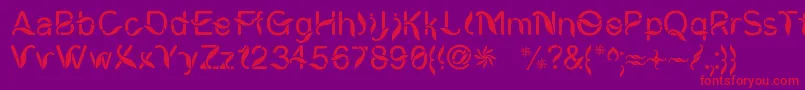 CiungWanaraSejati Font – Red Fonts on Purple Background