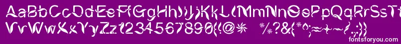 CiungWanaraSejati Font – White Fonts on Purple Background