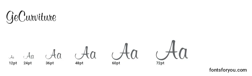 GeCurviture Font Sizes