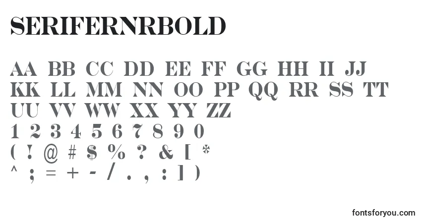 Czcionka SerifernrBold – alfabet, cyfry, specjalne znaki