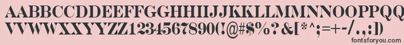 SerifernrBold Font – Black Fonts on Pink Background