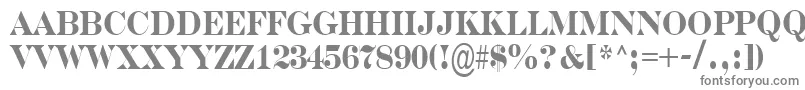 フォントSerifernrBold – 白い背景に灰色の文字