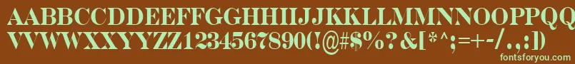 SerifernrBold Font – Green Fonts on Brown Background