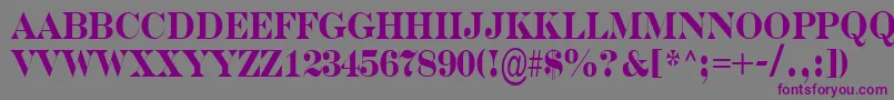 SerifernrBold Font – Purple Fonts on Gray Background