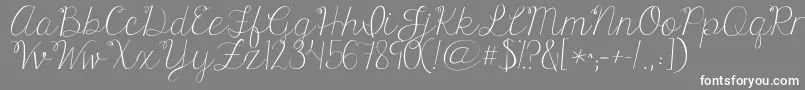 Kgonlyhuman Font – White Fonts on Gray Background