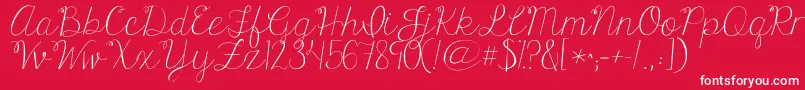 Kgonlyhuman Font – White Fonts on Red Background