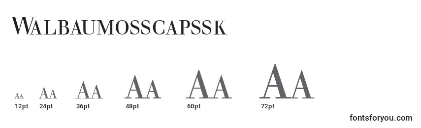 Размеры шрифта Walbaumosscapssk