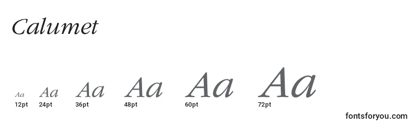 Calumet Font Sizes