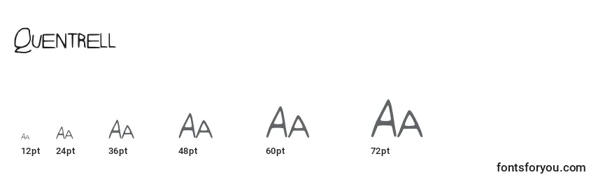 Quentrell Font Sizes