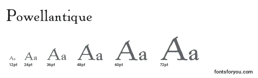 Powellantique font sizes